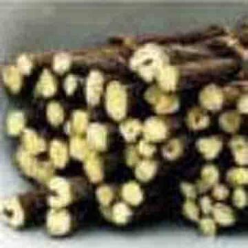 Licorice Extract